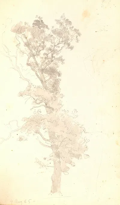 Et stort træ by П. К. Сковгорд, 1864 - 1865 — digital art print download