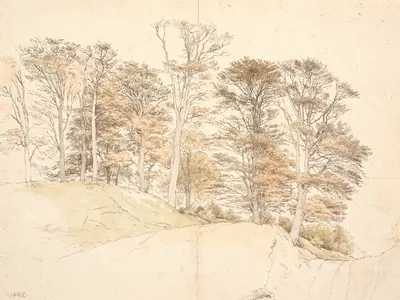 Høje træer med efterårsløv på bakket grund by П. К. Сковгорд, 1841 - 1842 — digital art print download