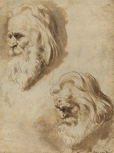 Two Studies of an Elderly Man's Head by Паулюс Понтий — digital art print download
