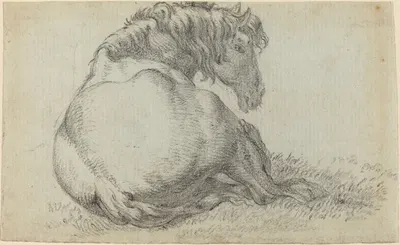 Resting Horse by Паулус Поттер — digital art print download