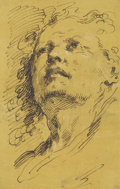 Head of a Man Looking Up by Pietro Antonio Novelli — digital art print download