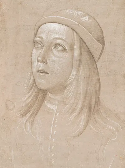 Head of a Youth Looking Up by Пинтуриккьо, c. 1485 — digital art print download