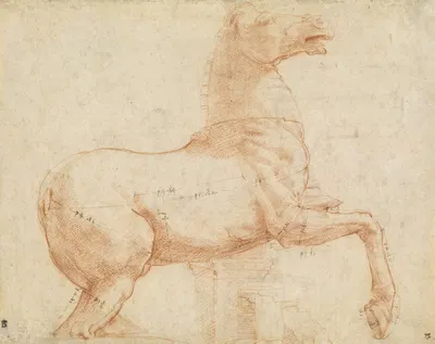 A Marble Horse on the Quirinal Hill (recto) by Raphael, c. 1513 — digital art print download