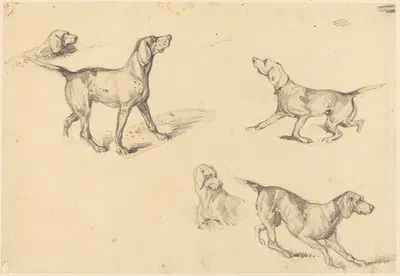 Five Studies of a French Pointer by Ричард Паркс Бонингтон, 1825-1826 — digital art print download