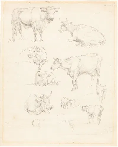 Studies of Cattle by Robert Hills — digital art print download