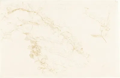 Honeysuckle by Эдвард Джон Пойнтер, 1878 — digital art print download