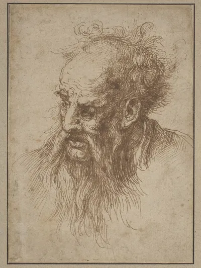 An Elderly Man with a Flowing Beard by Spanish School — digital art print download