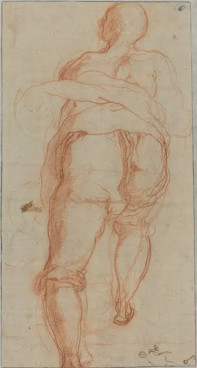 A Man Seen from Behind (verso) by Taddeo Zuccaro, c. 1555 — digital art print download