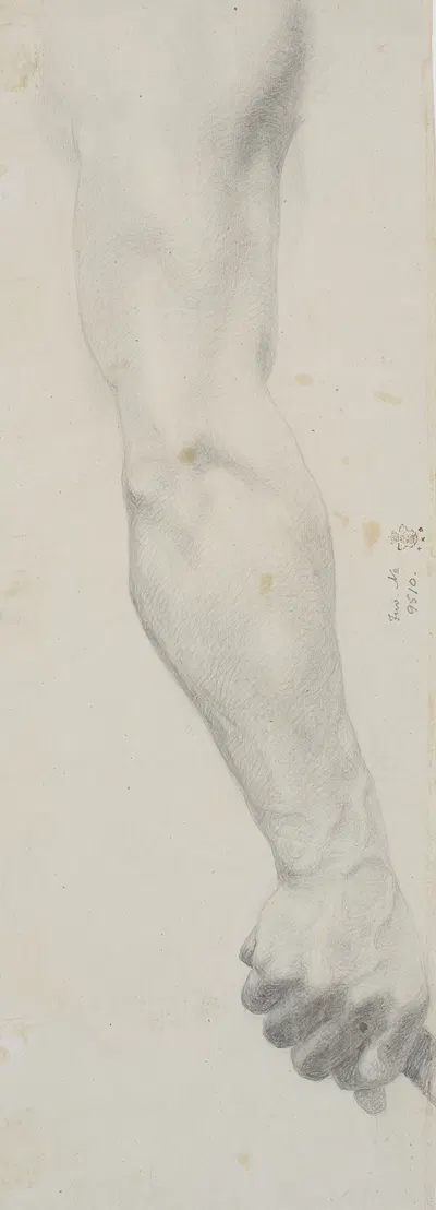 Studie af mandlig højre arm by Теодор Филипсен, 1860 – 1864 — digital art print download
