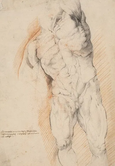 Anatomical Study (écorché). Front view of standing flayed man, his left arm raised by Willem Panneels, 1628 – 1630 —…