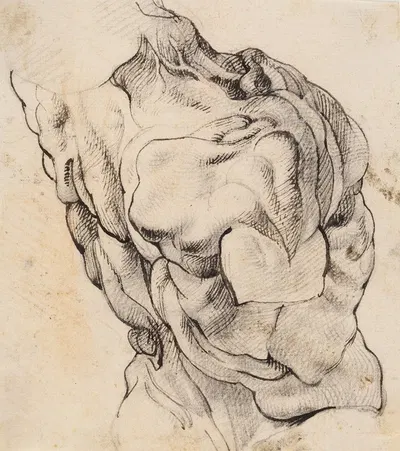Anatomical Study (écorché). Torso of a flayed man seen from the back half turned to the right by Willem Panneels, 1628 –…