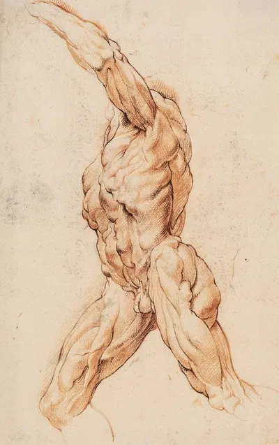 Anatomical Study (écorchés). Walking flayed man turned to the left by Willem Panneels, 1628 – 1630 — digital art print…