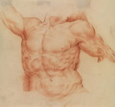 Front view of Laocoon’s torso by Willem Panneels, 1628 – 1630 — digital art print download
