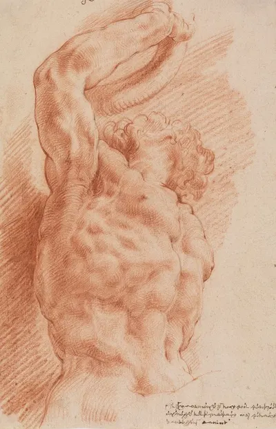 Laocoon. Laocoon's torso seen from below from the right. by Willem Panneels, 1628 – 1630 — digital art print download