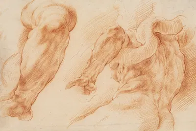 Laocoon. Studies of Laocoon's left arm and of the back of his torso seen from the left and from below by Willem Panneels,…