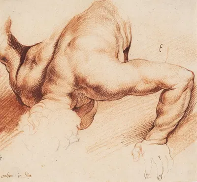 Wrestlers. Antique sculpture group. Lower figure by Willem Panneels, 1628 – 1630 — digital art print download