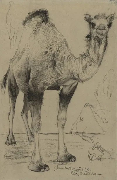 Dromedary by Ричард Мюллер, 1894 — digital art print download