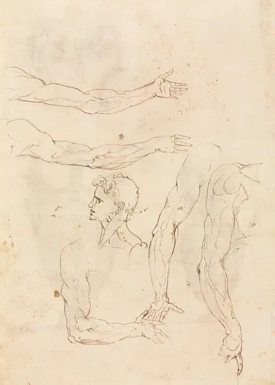 Sketches of Five Arms and a Head (verso) by Luzio Romano — digital art print download