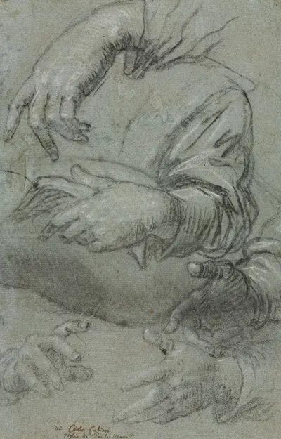 Studies of Hands (recto) by Carlo Caliari, c. 1586 — digital art print download