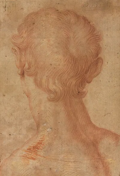 Man's Head from the Back by Агноло Бронзино — digital art print download