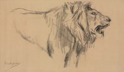 Lion by Джон Макадлан Суон — digital art print download