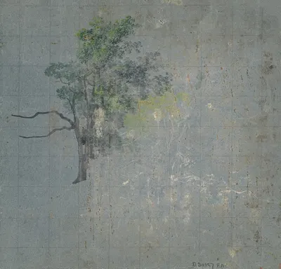 Tree Studies (verso) by Johann Jacob Dorner, 1800-1850 — digital art print download