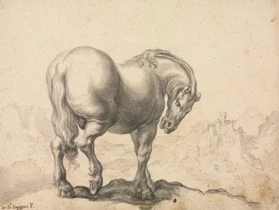 Study of a Stallion by Giovanni Battista Foggini — digital art print download