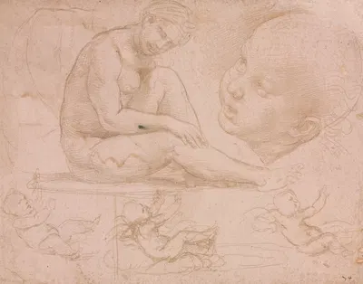Studies of a Seated Female, Child's Head, and Three Studies of a Baby by Raphael — digital art print download