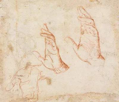 Study of Hands (verso) by Camillo Procaccini, c. 1590 — digital art print download