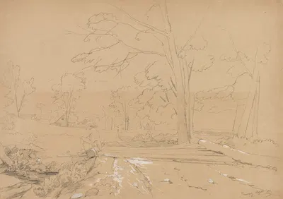 Landscape with Man Fishing, Conway, New Hampshire by Дэвид Джонсон, 1851 — digital art print download