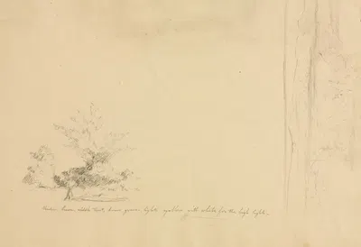 Landscape and Tree Studies (verso) by Дэвид Джонсон, c. 1851 — digital art print download