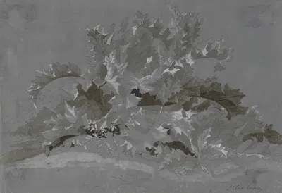 Study of Weeds by Jean-Antoine Linck, 1800-1850 — digital art print download