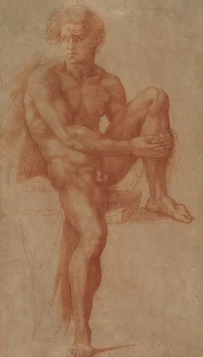 Seated Male Nude by Baccio Bandinelli — digital art print download
