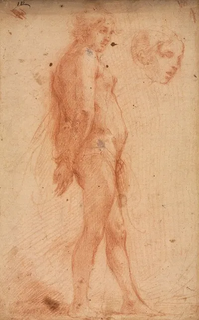 Study of a Standing Male Nude, with a Study of Head in Three-Quarter Profile by Cecco Bravo, c. 1640 — digital art print…