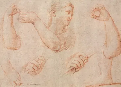 Study of a Young Woman Playing a Tambourine, and Studies of an Arm, Hands, and Feet by Marcantonio Franceschini, c. 1711 —…