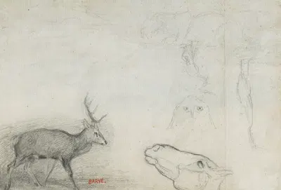 Studies of Animals by Antoine-Louis Barye — digital art print download