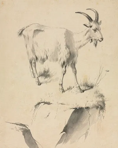 Study of a Goat by Жан-Жак де Буассье — digital art print download