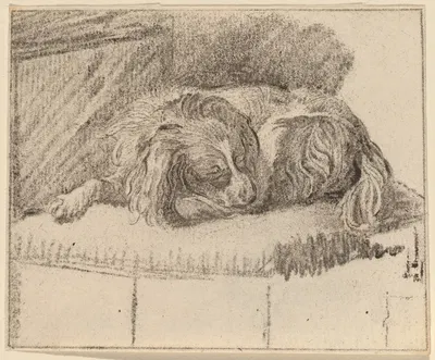 Lying Dog by Cornelis Ploos van Amstel, 1777 — digital art print download