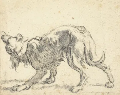 A Dog by Cornelis Saftleven — digital art print download