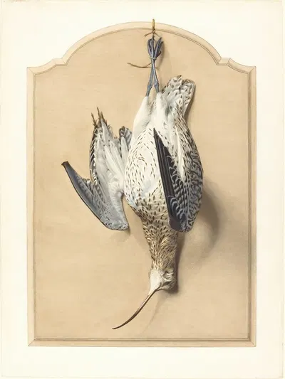 Trompe l'Oeil – A Curlew Hanging from a Nail by Édouard Traviès — digital art print download