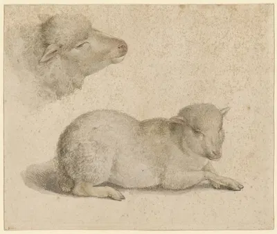 Ruhendes Lamm und Kopf eines Lammes by Ганс Хольбейн Младший, 1523 — digital art print download
