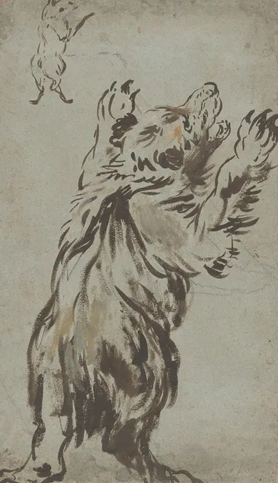 Studies of a Bear by Леонар Брамер — digital art print download