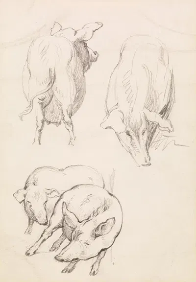 Three Studies of Pigs by Frederick Sandys — digital art print download
