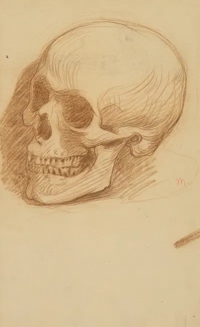 Skull Study by Милан Томка Митровский — digital art print download
