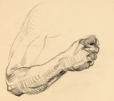 Study of an Arm by Thomas La Farge — digital art print download