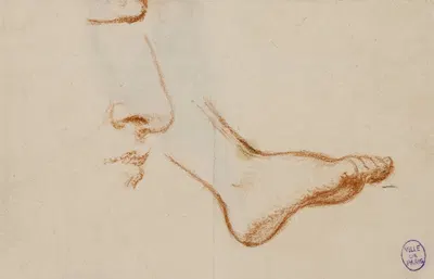 Etude d'un pied droit, et du profil d'un nez et d'une bouche by Нарцисс-Виржиль Диаз де Ла Пенья — digital art print download