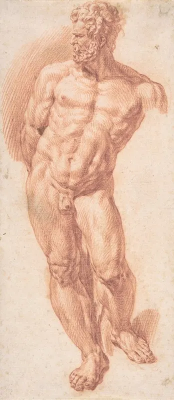 Standing Male Nude by Denys Calvaert — digital art print download