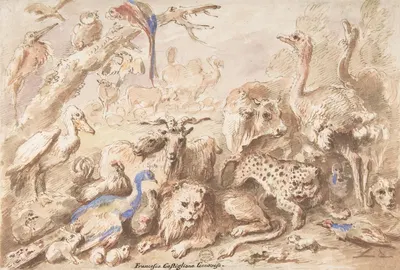 A Congress of Animals by Giovanni Francesco Castiglione, 1641–1710 — digital art print download
