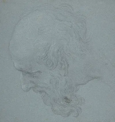 Head of a Bearded Man Looking to Upper Left by Ciro Ferri — digital art print download