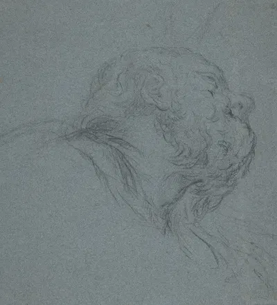 Head of a Bearded Man Looking to Upper Right by Ciro Ferri — digital art print download
